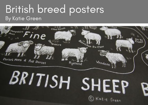 Portion of Katie Green's British Sheep Breeds poster in black with white illustrations and writing.  Containes all 72 British breeds.