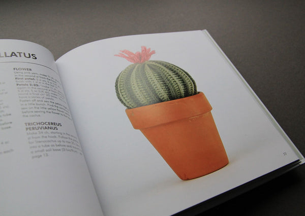 Crocheted Cactuses by Sarah Abbondio - Provenance Craft Co